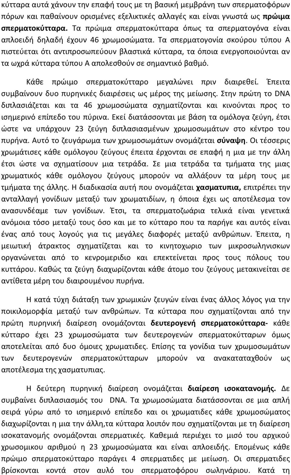 Τα σπερματογονία σκούρου τύπου Α πιστεύεται ότι αντιπροσωπεύουν βλαστικά κύτταρα, τα όποια ενεργοποιούνται αν τα ωχρά κύτταρα τύπου Α απολεσθούν σε σημαντικό βαθμό.