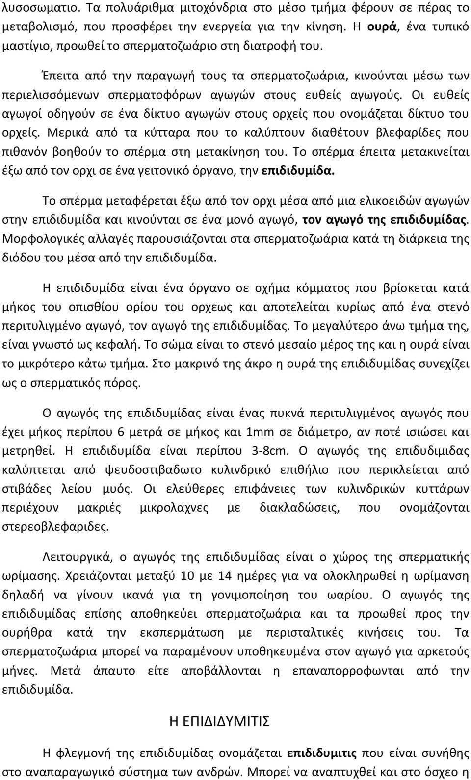 Οι ευθείς αγωγοί οδηγούν σε ένα δίκτυο αγωγών στους ορχείς που ονομάζεται δίκτυο του ορχείς.