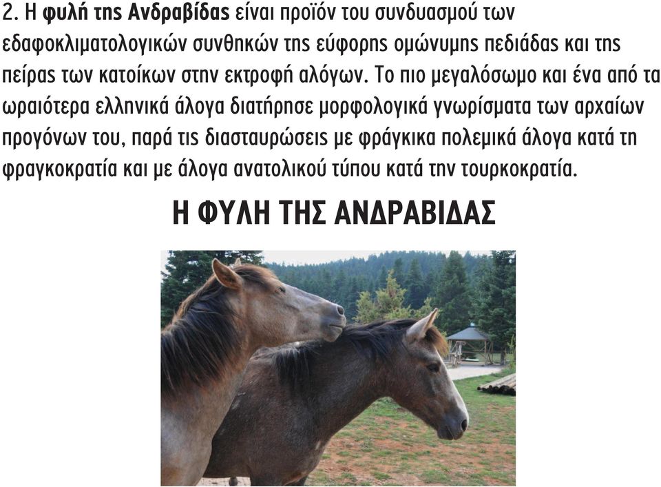 Tο πιο μεγαλόσωμο και ένα από τα ωραιότερα ελληνικά άλογα διατήρησε μορφολογικά γνωρίσματα των αρχαίων