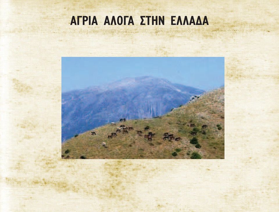 ΣΤΗΝ