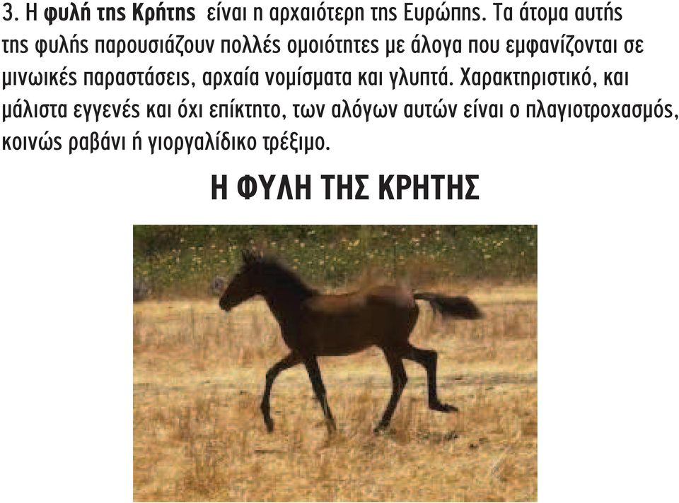 μινωικές παραστάσεις, αρχαία νομίσματα και γλυπτά.