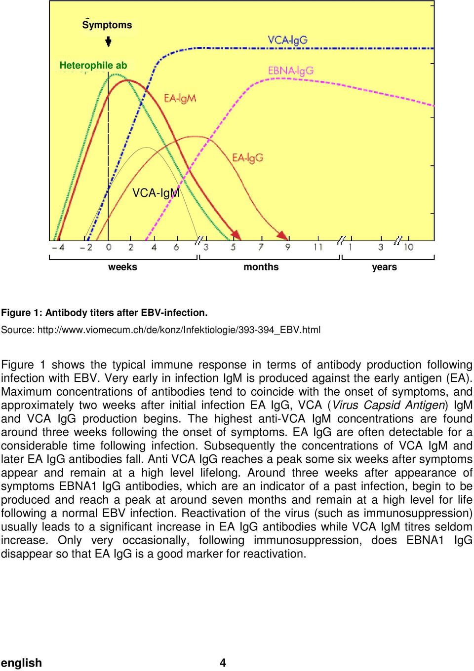 html Figure 1 shows the typical immune response in terms of antibody production following infection with EBV. Very early in infection IgM is produced against the early antigen (EA).