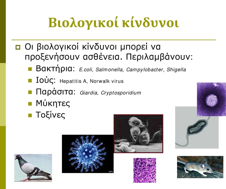 coli, Salmonella, Campylobacter, Shigella Ιούς: