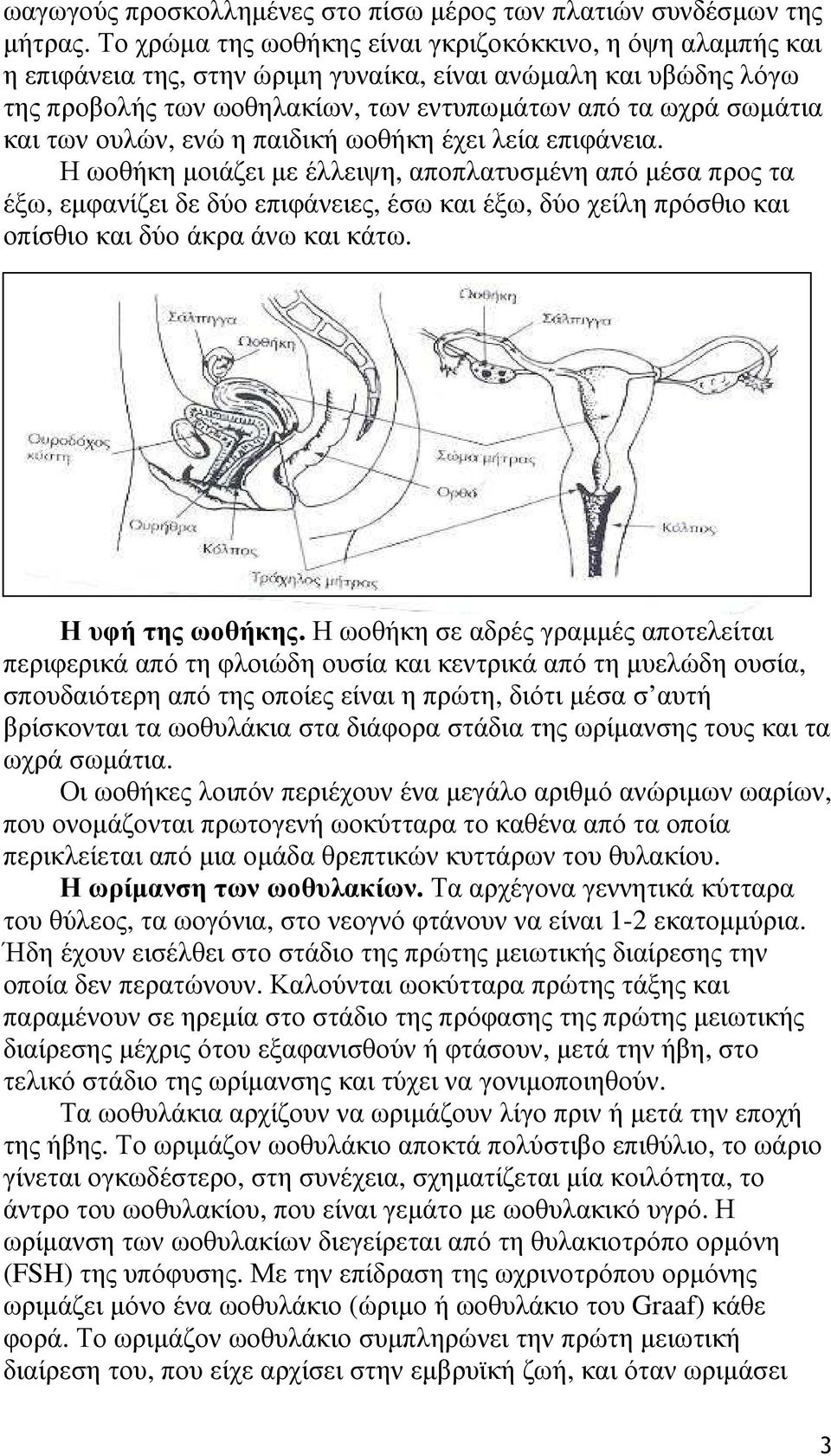 ουλών, ενώ η παιδική ωοθήκη έχει λεία επιφάνεια.