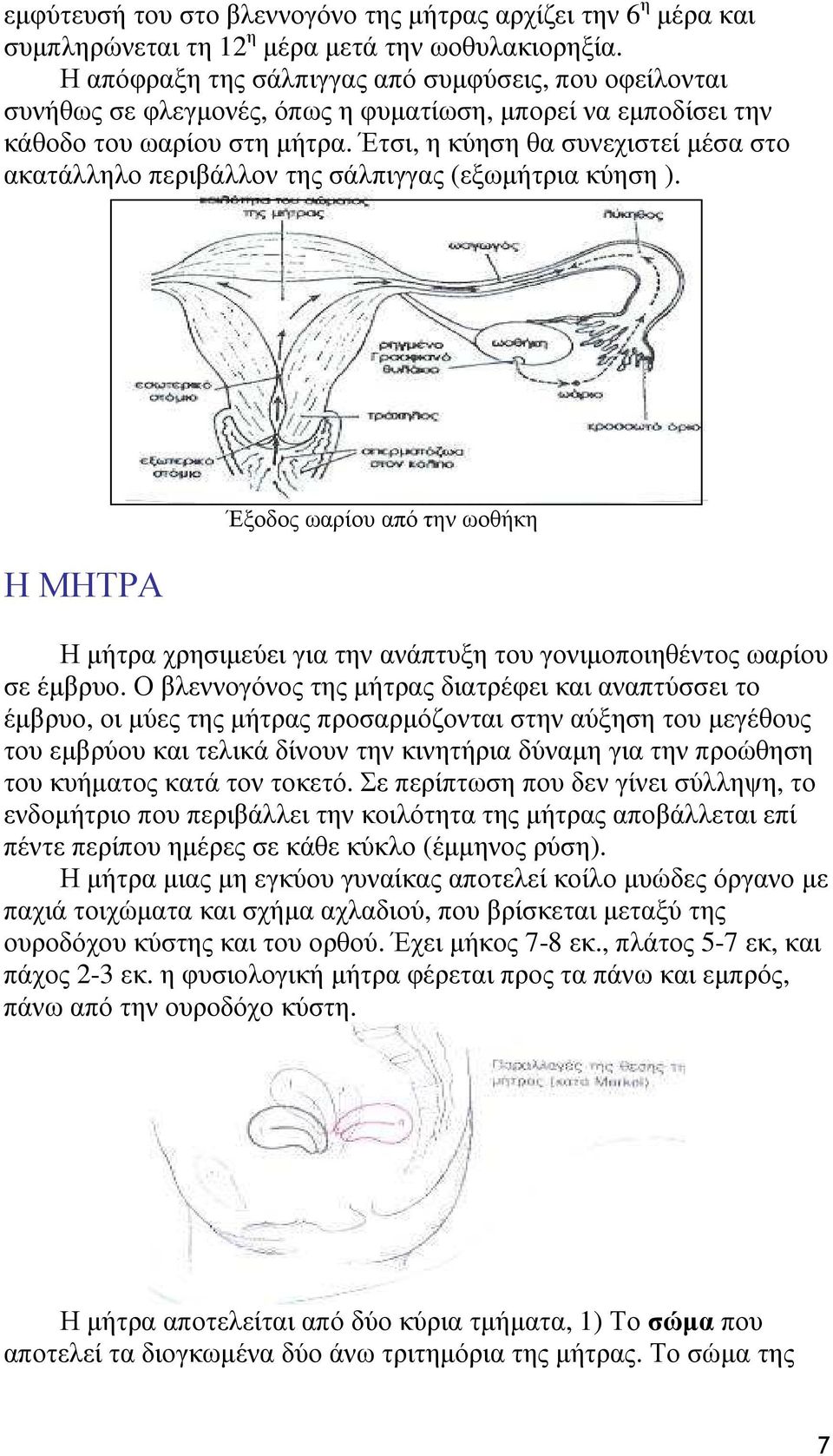 Έτσι, η κύηση θα συνεχιστεί µέσα στο ακατάλληλο περιβάλλον της σάλπιγγας (εξωµήτρια κύηση ).