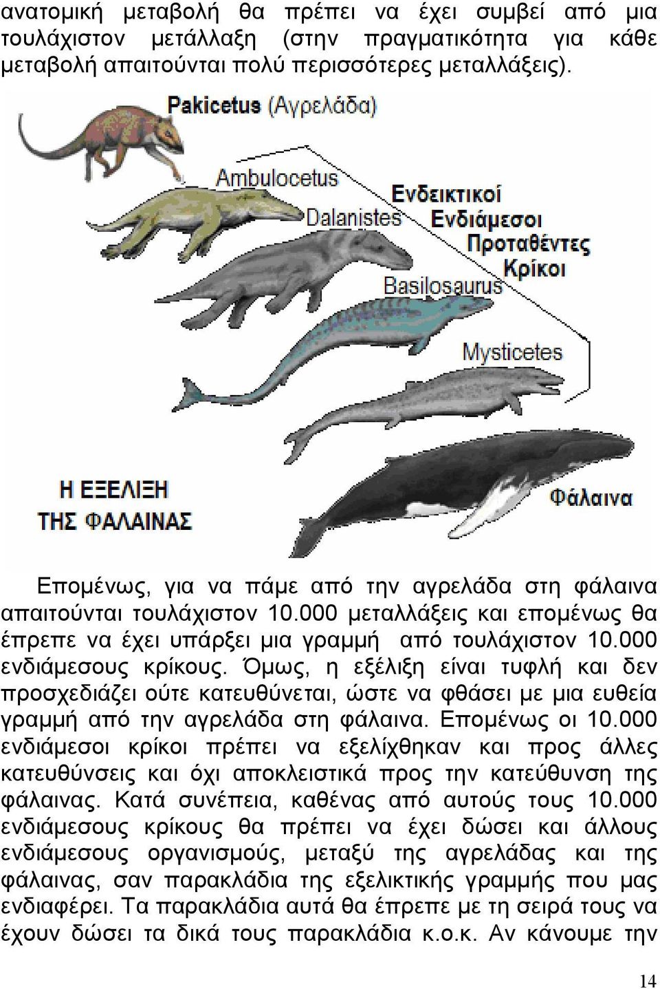 Όμως, η εξέλιξη είναι τυφλή και δεν προσχεδιάζει ούτε κατευθύνεται, ώστε να φθάσει με μια ευθεία γραμμή από την αγρελάδα στη φάλαινα. Επομένως οι 10.