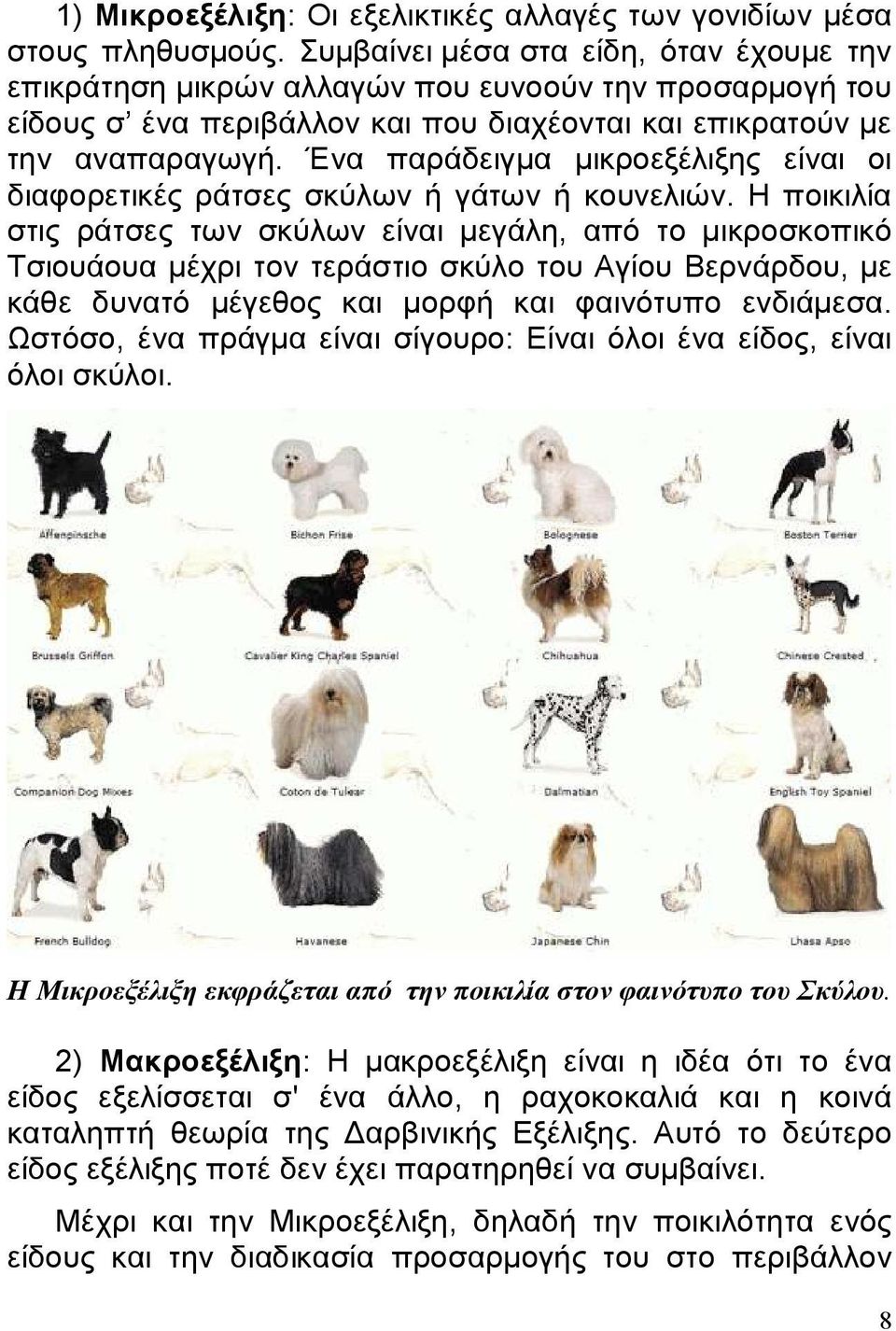 Ένα παράδειγμα μικροεξέλιξης είναι οι διαφορετικές ράτσες σκύλων ή γάτων ή κουνελιών.