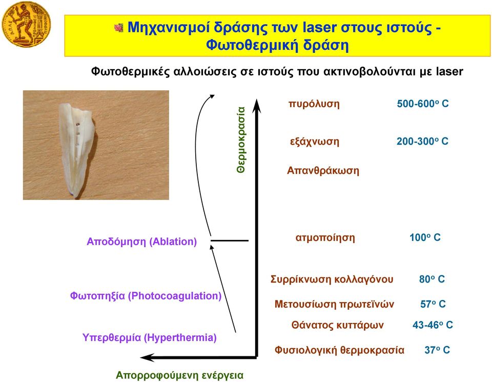 (Ablation) ατμοποίηση 100 ο C Φωτοπηξία (Photocoagulation) Υπερθερμία (Hyperthermia) Απορροφούμενη