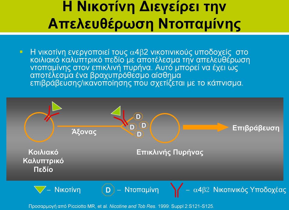 Αυτό μπορεί να έχει ως αποτέλεσμα ένα βραχυπρόθεσμο αίσθημα επιβράβευσης/ικανοποίησης που σχετίζεται με το κάπνισμα.