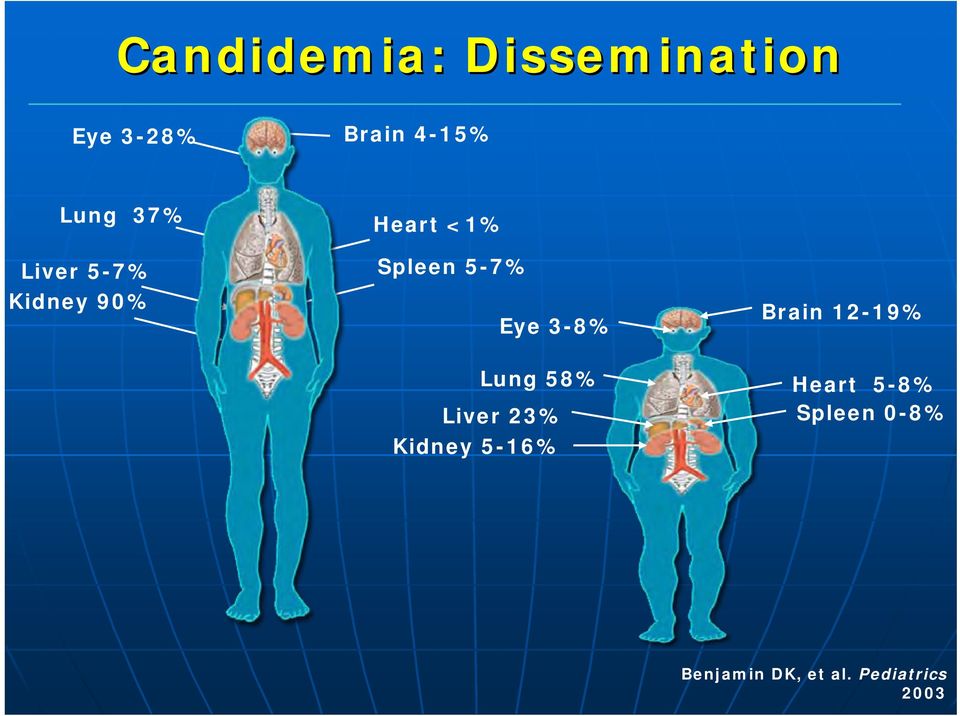 3-8% Lung 58% Liver 23% Kidney 5-16% Brain 12-19%