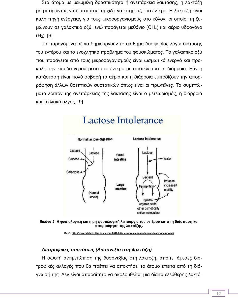 [8] Τα παραγόµενα αέρια δηµιουργούν το αίσθηµα δυσφορίας λόγω διάτασης του εντέρου και το ενοχλητικό πρόβληµα του φουσκώµατος.