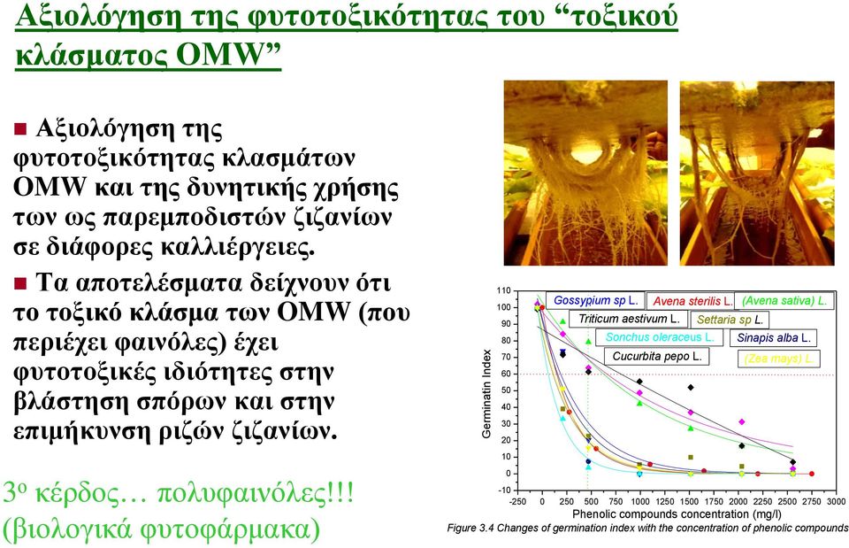 !! (βιολογικά φυτοφάρμακα) 110 100 90 80 70 60 50 40 30 20 10 0 Gossypium sp L. Triticum aestivum L. Avena sterilis L. Sonchus oleraceus L. Cucurbita pepo L. Settaria sp L. (Avena sativa) L.