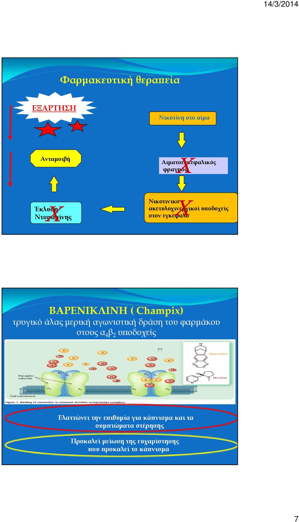 Champix) τρυγικό άλας µερική αγωνιστική δράση του φαρµάκου στους α 4 β 2 υ οδοχείς Ελαττώνει