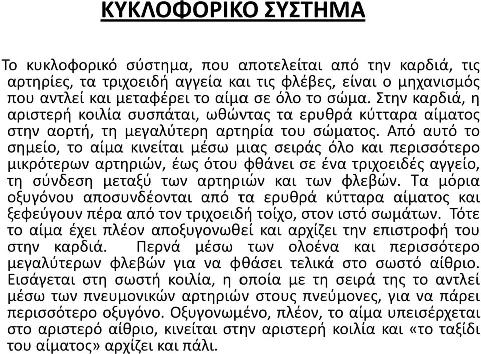 Από αυτό το σημείο, το αίμα κινείται μέσω μιας σειράς όλο και περισσότερο μικρότερων αρτηριών, έως ότου φθάνει σε ένα τριχοειδές αγγείο, τη σύνδεση μεταξύ των αρτηριών και των φλεβών.