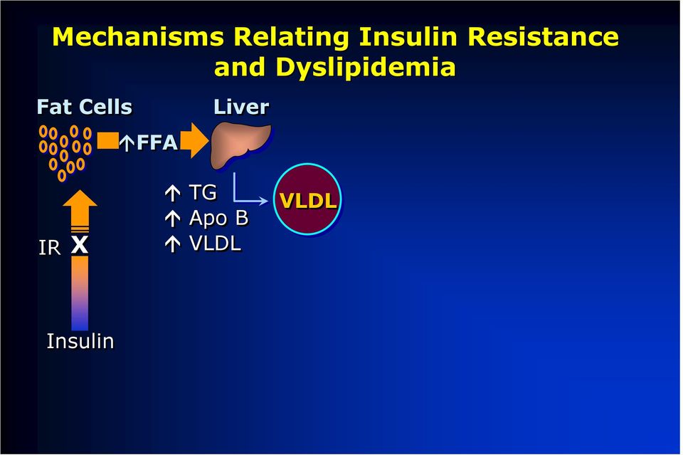Dyslipidemia Fat Cells FFA