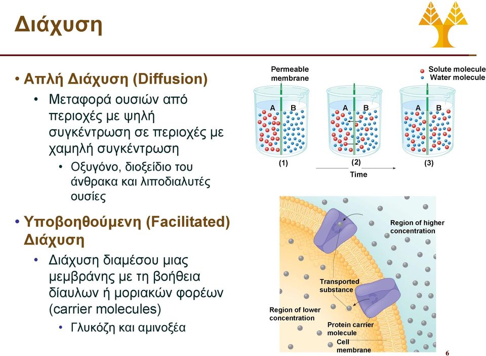 Υποβοηθούμενη (Facilitated) Διάχυση Διάχυση διαμέσου μιας μεμβράνης με τη βοήθεια δίαυλων ή μοριακών φορέων (carrier molecules)