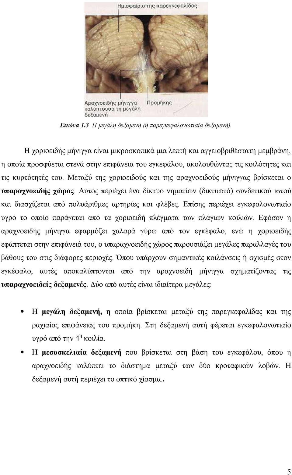 Μεταξύ της χοριοειδούς και της αραχνοειδούς μήνιγγας βρίσκεται ο υπαραχνοειδής χώρος.