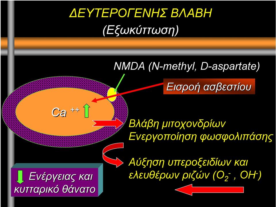 Ενέργειας και κυτταρικό θάνατο Βλάβη µιτοχονδρίων