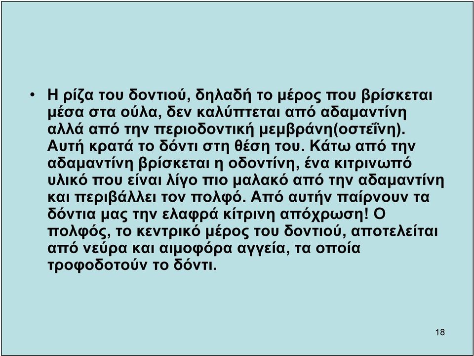 Κάτω από την αδαμαντίνη βρίσκεται η οδοντίνη, ένα κιτρινωπό υλικό που είναι λίγο πιο μαλακό από την αδαμαντίνη