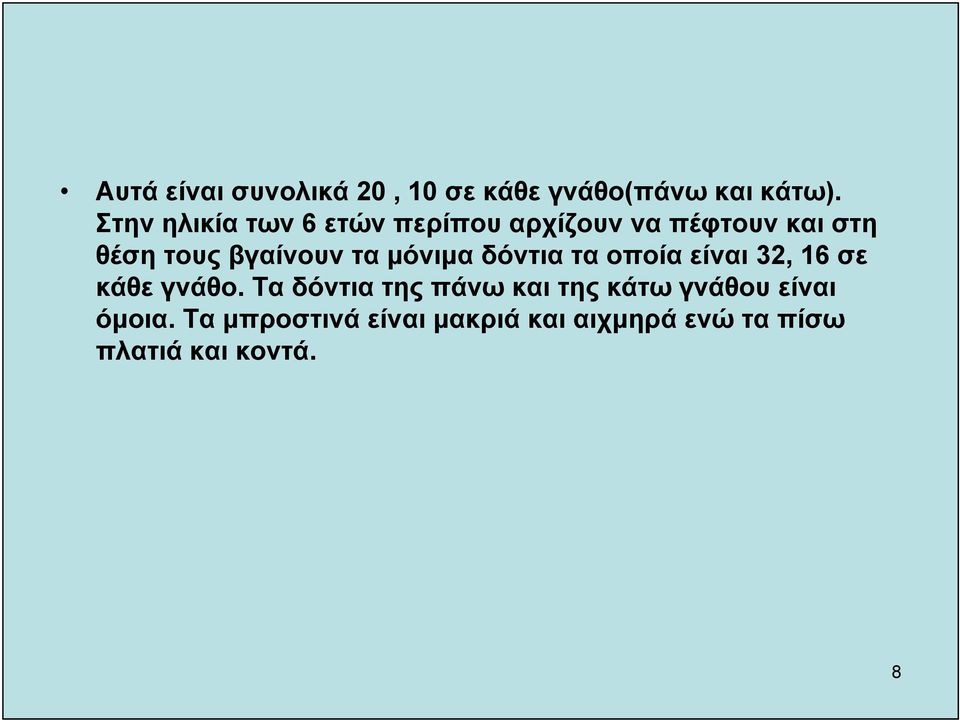 τα μόνιμα δόντια τα οποία είναι 32, 16 σε κάθε γνάθο.