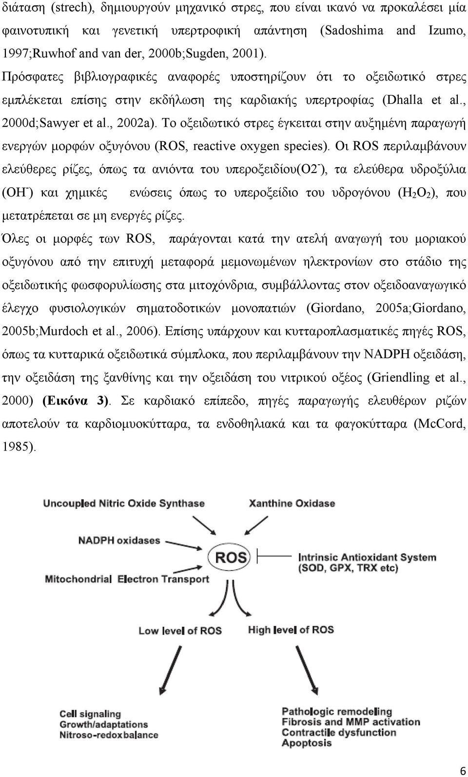 Το οξειδωτικό στρες έγκειται στην αυξημένη παραγωγή ενεργών μορφών οξυγόνου (ROS, reactive oxygen species).