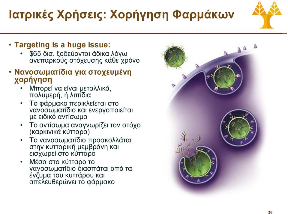 λιπίδια Το φάρμακο περικλείεται στο νανοσωματίδιο και ενεργοποιείται με ειδικό αντίσωμα Το αντίσωμα αναγνωρίζει τον στόχο