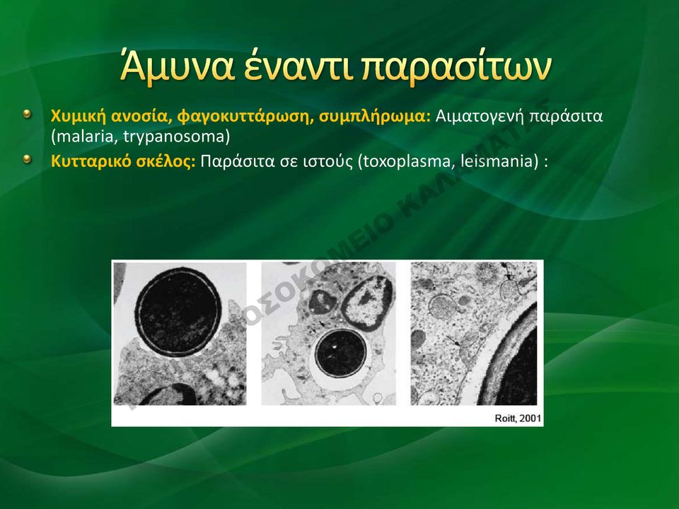 (malaria, trypanosoma) Κυτταρικό