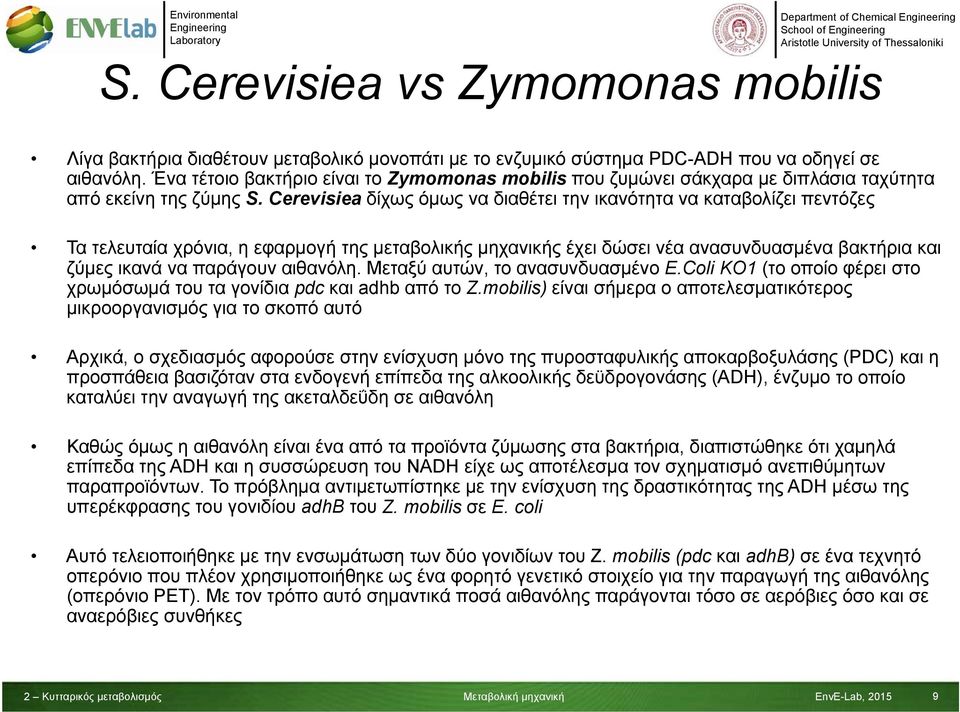 Cerevisiea δίχως όμως να διαθέτει την ικανότητα να καταβολίζει πεντόζες Τα τελευταία χρόνια, η εφαρμογή της μεταβολικής μηχανικής έχει δώσει νέα ανασυνδυασμένα βακτήρια και ζύμες ικανά να παράγουν