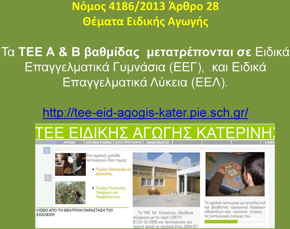 Επαγγελματικά Γυμνάσια (ΕΕΓ), και Ειδικά