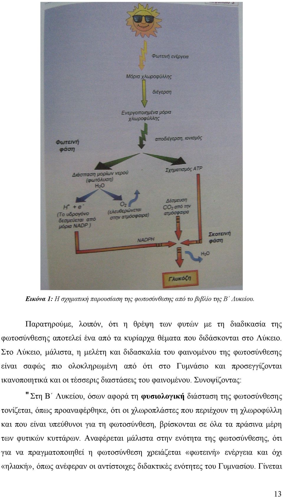 Στο Λύκειο, μάλιστα, η μελέτη και διδασκαλία του φαινομένου της φωτοσύνθεσης είναι σαφώς πιο ολοκληρωμένη από ότι στο Γυμνάσιο και προσεγγίζονται ικανοποιητικά και οι τέσσερις διαστάσεις του