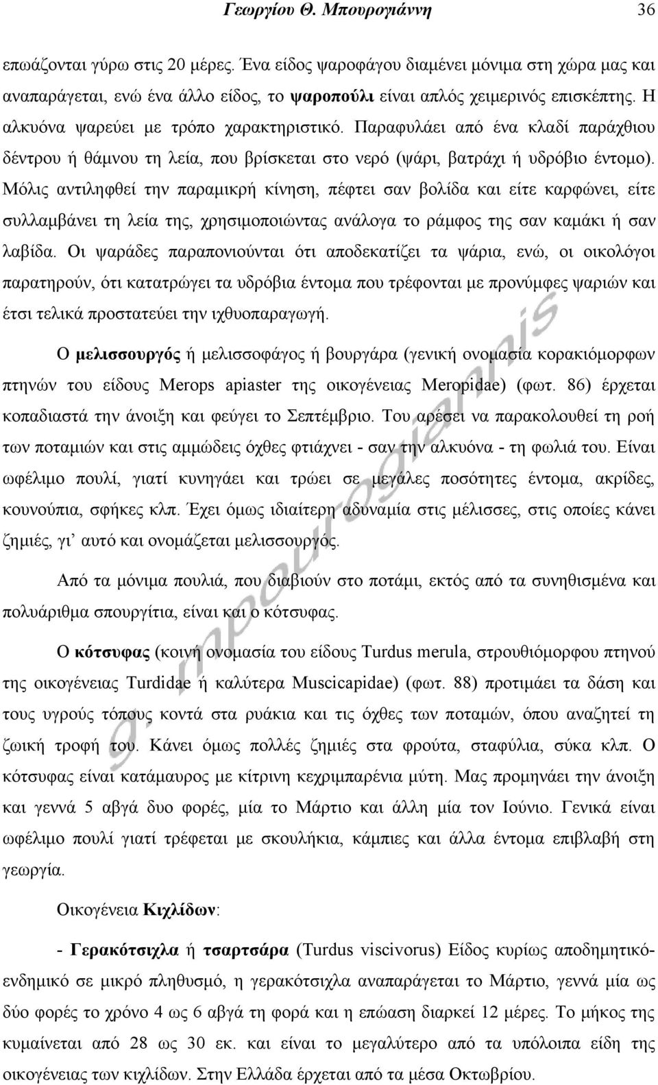 Μόλις αντιληφθεί την παραμικρή κίνηση, πέφτει σαν βολίδα και είτε καρφώνει, είτε συλλαμβάνει τη λεία της, χρησιμοποιώντας ανάλογα το ράμφος της σαν καμάκι ή σαν λαβίδα.