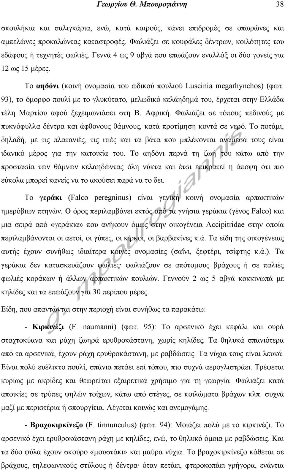 Το αηδόνι (κοινή ονομασία του ωδικού πουλιού Luscinia megarhynchos) (φωτ. 93), το όμορφο πουλί με το γλυκύτατο, μελωδικό κελάηδημά του, έρχεται στην Ελλάδα τέλη Μαρτίου αφού ξεχειμωνιάσει στη Β.