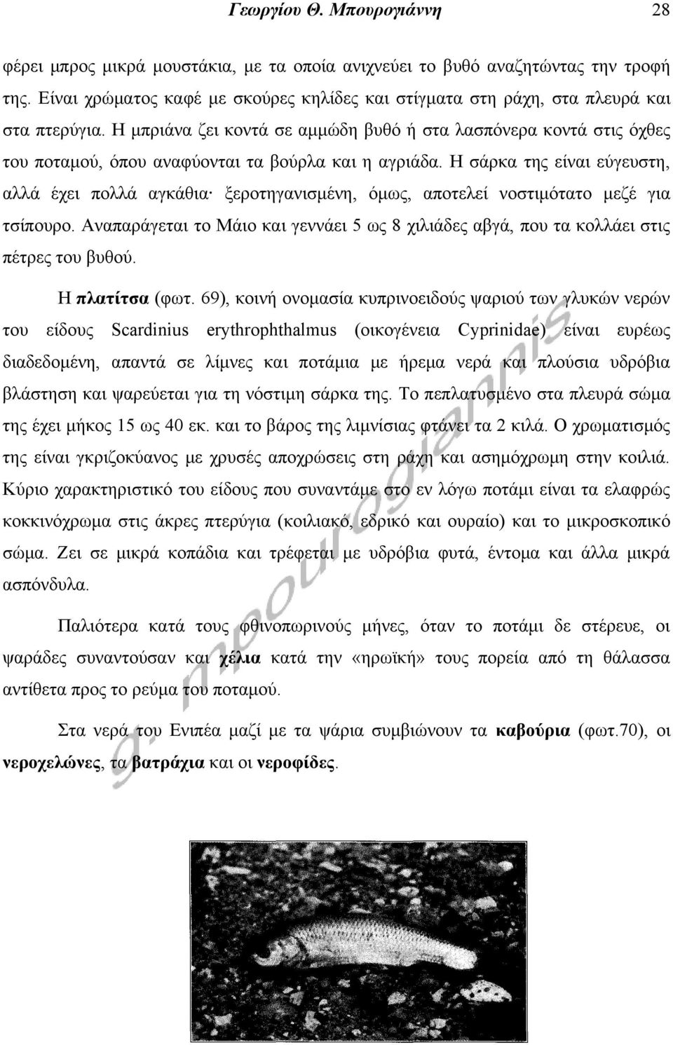 Η μπριάνα ζει κοντά σε αμμώδη βυθό ή στα λασπόνερα κοντά στις όχθες του ποταμού, όπου αναφύονται τα βούρλα και η αγριάδα.