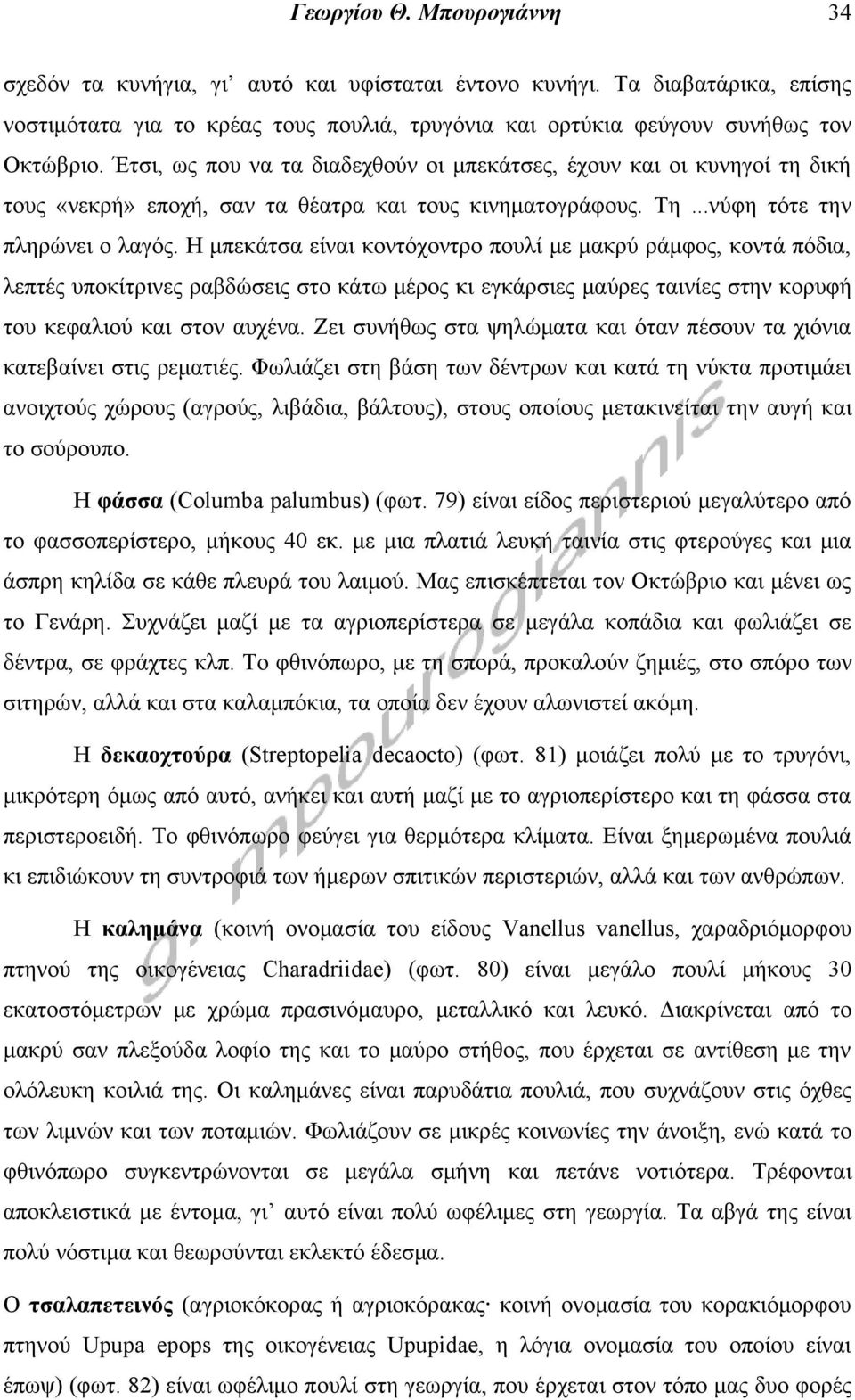 Η μπεκάτσα είναι κοντόχοντρο πουλί με μακρύ ράμφος, κοντά πόδια, λεπτές υποκίτρινες ραβδώσεις στο κάτω μέρος κι εγκάρσιες μαύρες ταινίες στην κορυφή του κεφαλιού και στον αυχένα.