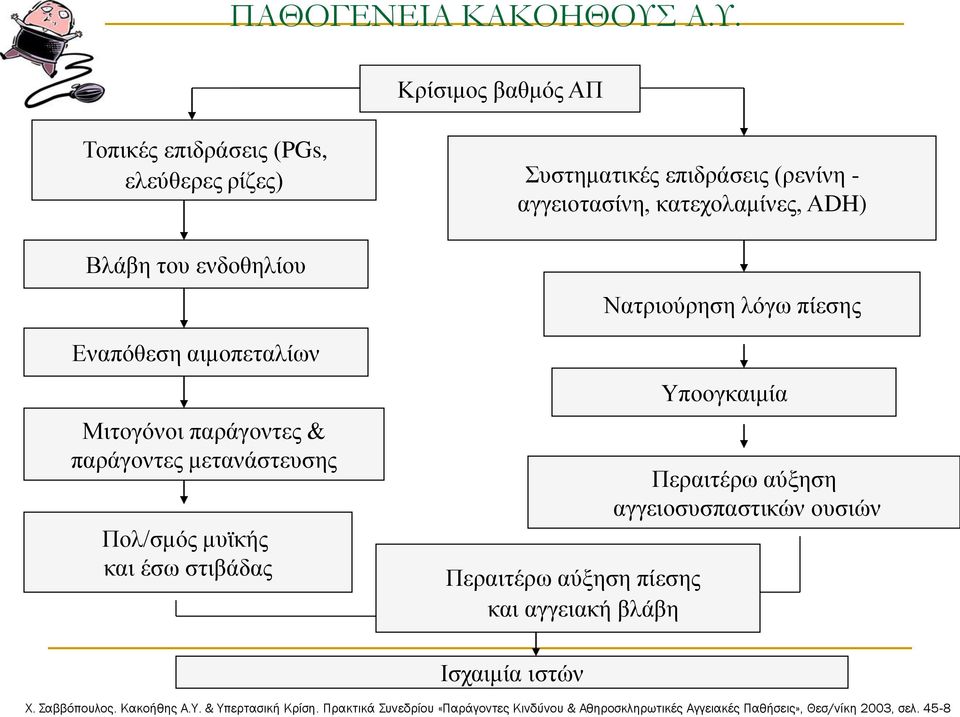 του ενδοθηλίου Εναπόθεση αιμοπεταλίων Μιτογόνοι παράγοντες & παράγοντες μετανάστευσης Πολ/σμός μυϊκής και έσω στιβάδας Περαιτέρω αύξηση πίεσης