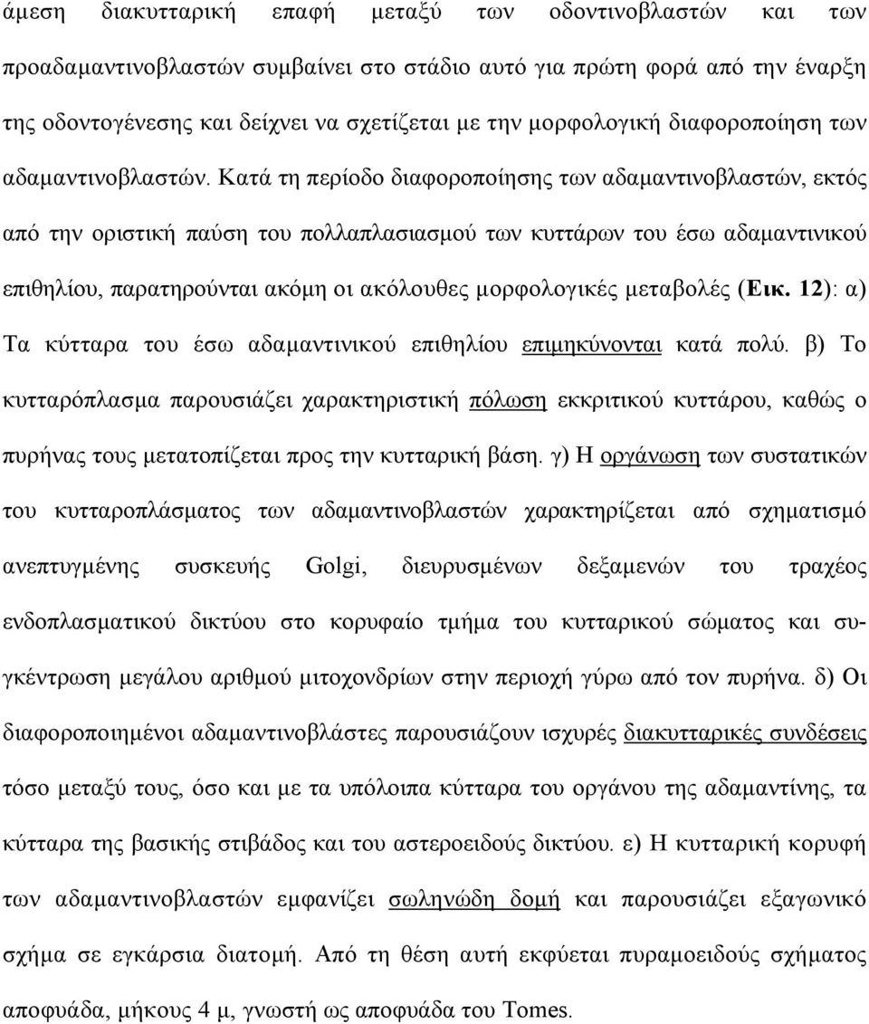 Κατά τη περίοδο διαφοροποίησης των αδαµαντινοβλαστών, εκτός από την οριστική παύση του πολλαπλασιασµού των κυττάρων του έσω αδαµαντινικού επιθηλίου, παρατηρούνται ακόµη οι ακόλουθες µορφολογικές