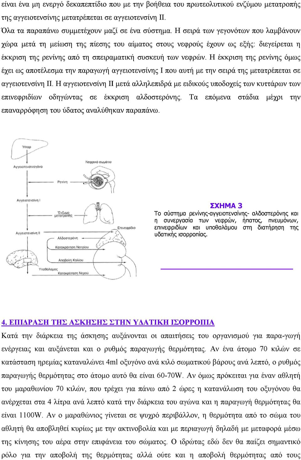 Η έκκριση της ρενίνης όμως έχει ως αποτέλεσμα την παραγωγή αγγειοτενσίνης Ι που αυτή με την σειρά της μετατρέπεται σε αγγειοτενσίνη ΙΙ.