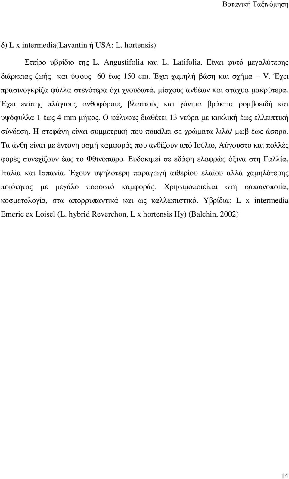 Έχει επίσης πλάγιους ανθοφόρους βλαστούς και γόνιµα βράκτια ροµβοειδή και υψόφυλλα 1 έως 4 mm µήκος. Ο κάλυκας διαθέτει 13 νεύρα µε κυκλική έως ελλειπτική σύνδεση.