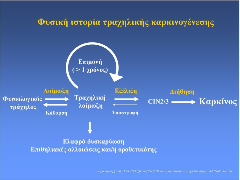 Καρκίνος Ελαφρά δυσκαρύωση Επιθηλιακές αλλοιώσεις και/ή οροθετικότης