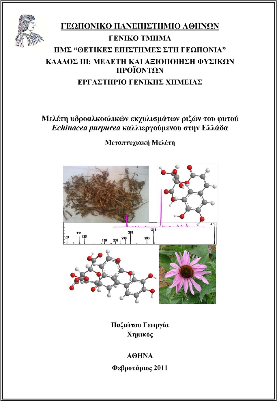 Μελέτη υδροαλκοολικών εκχυλισμάτων ριζών του φυτού Εchinacea purpurea