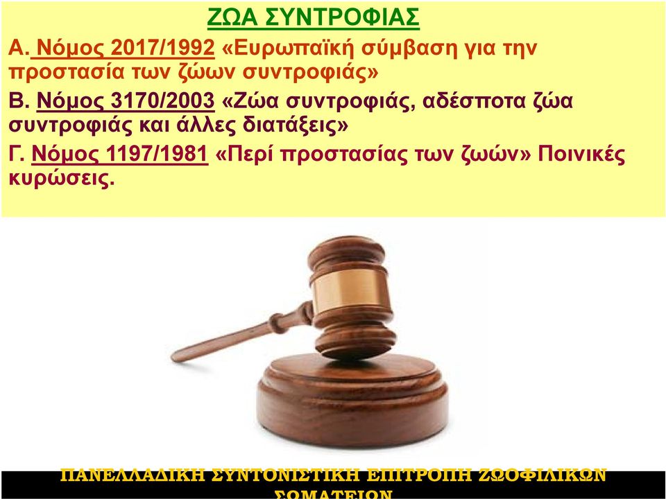 ζώων συντροφιάς» B.