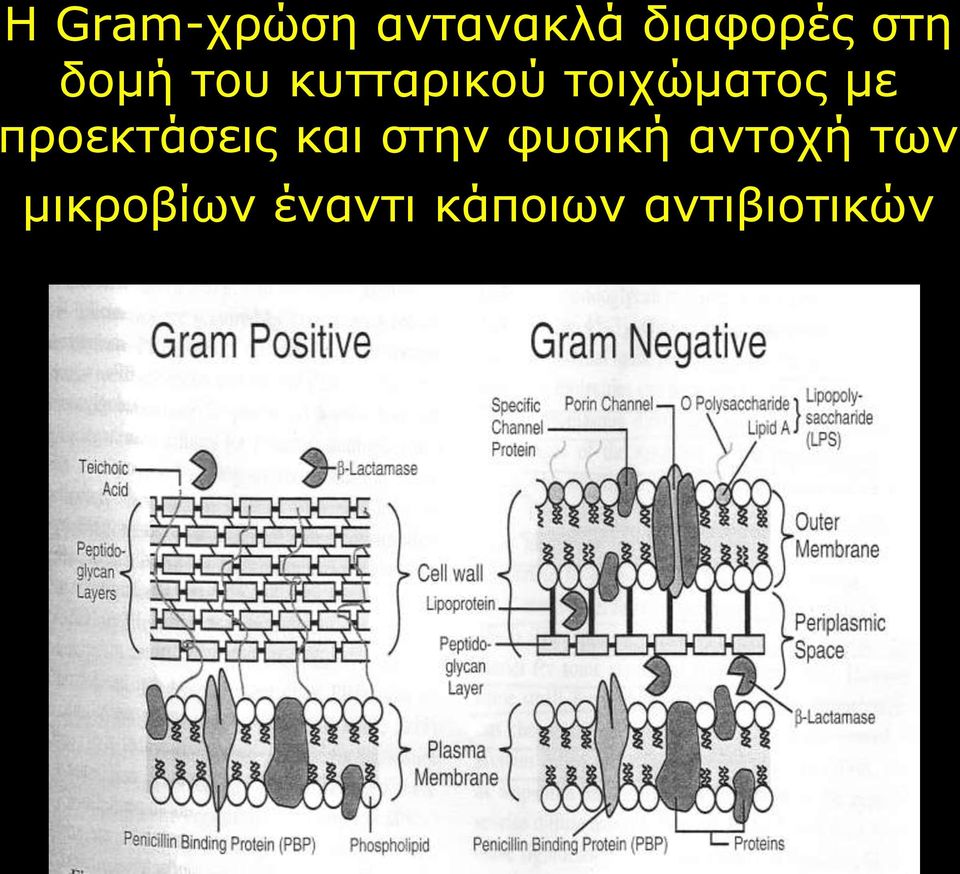 με προεκτάσεις και στην φυσική