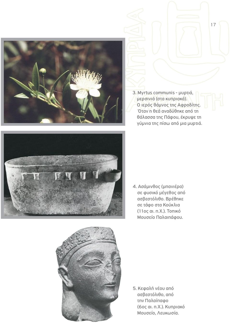 Ασάμινθος (μπανιέρα) σε φυσικό μέγεθος από ασβεστόλιθο. Βρέθηκε σε τάφο στα Κούκλια (11ος αι. π.χ.). Τοπικό Μουσείο Παλαιπάφου.
