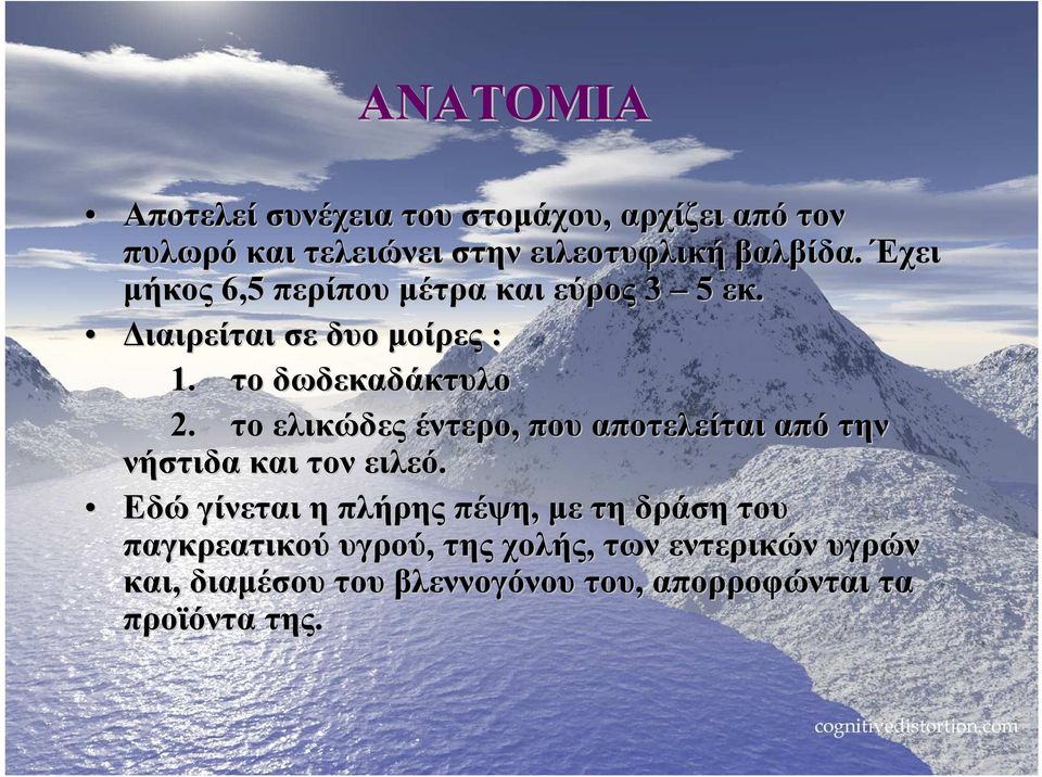 το ελικώδες έντερο, που αποτελείται από την νήστιδα και τον ειλεό.