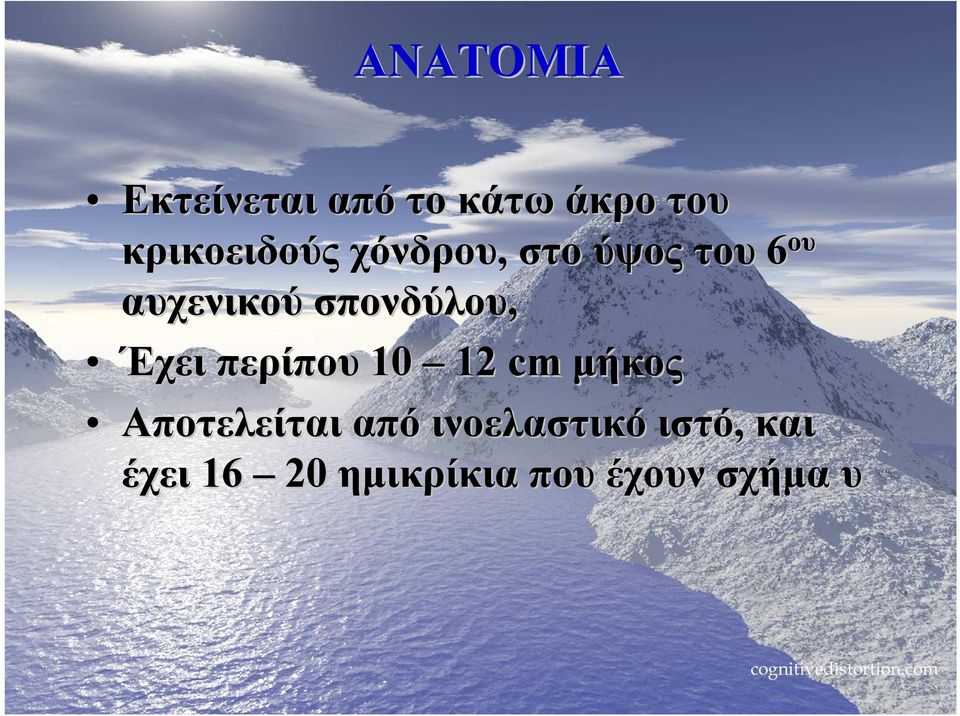 σπονδύλου, Έχει περίπου 10 12 cm µήκος Αποτελείται