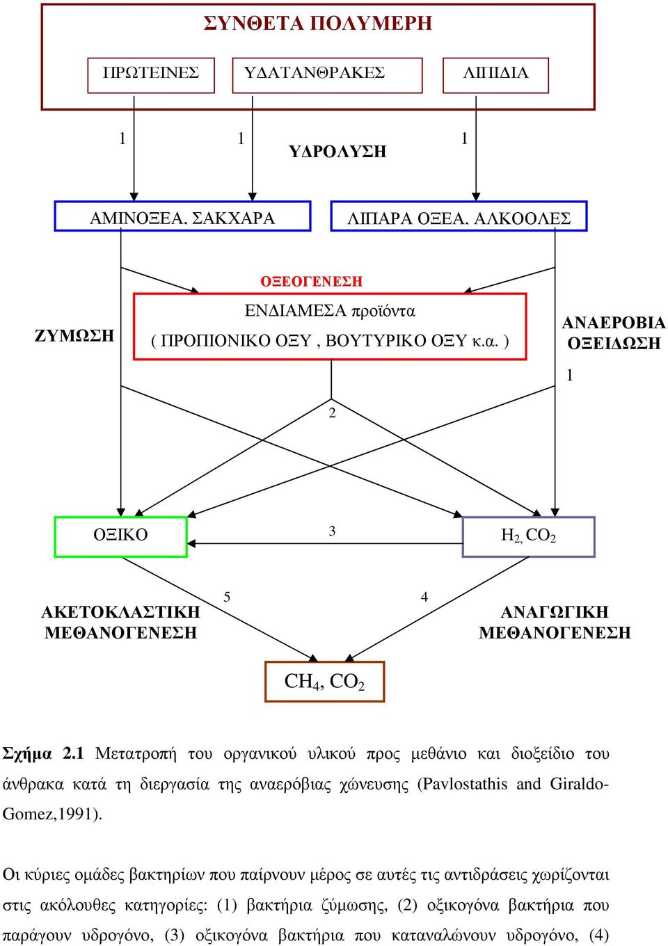 1 Μετατροπή του οργανικού υλικού προς µεθάνιο και διοξείδιο του άνθρακα κατά τη διεργασία της αναερόβιας χώνευσης (Pavlostathis and Giraldo- Gomez,1991).