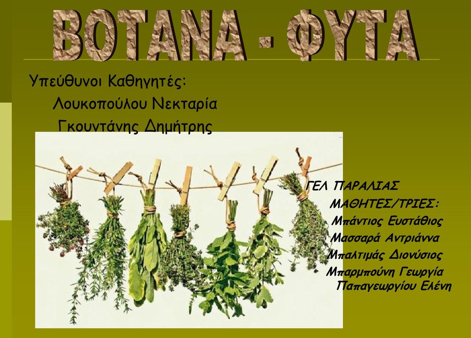 ΜΑΘΗΤΕΣ/ΤΡΙΕΣ: Μπάντιος Ευστάθιος Μασσαρά