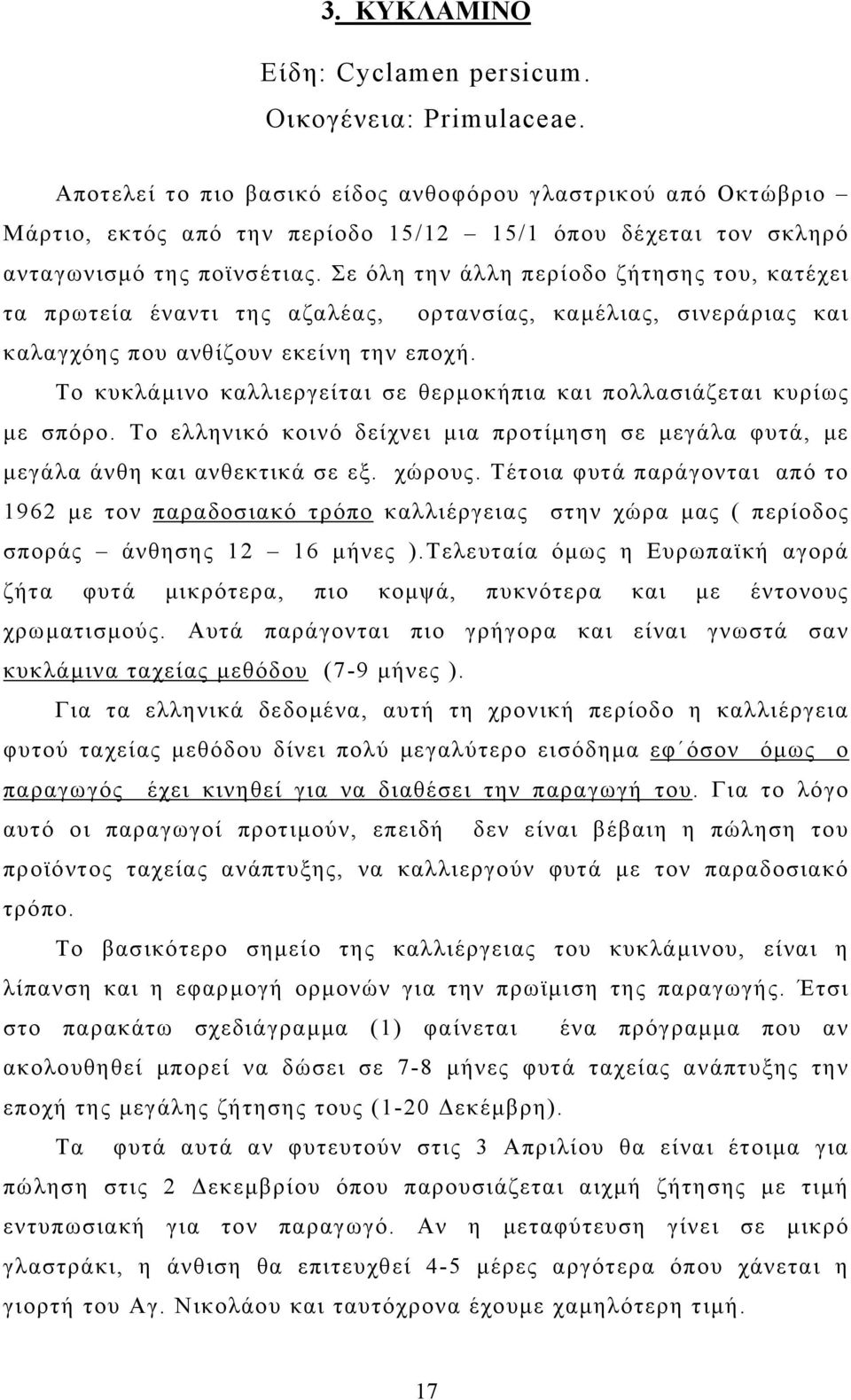 Σε όλη την άλλη περίοδο ζήτησης του, κατέχει τα πρωτεία έναντι της αζαλέας, ορτανσίας, καμέλιας, σινεράριας και καλαγχόης που ανθίζουν εκείνη την εποχή.