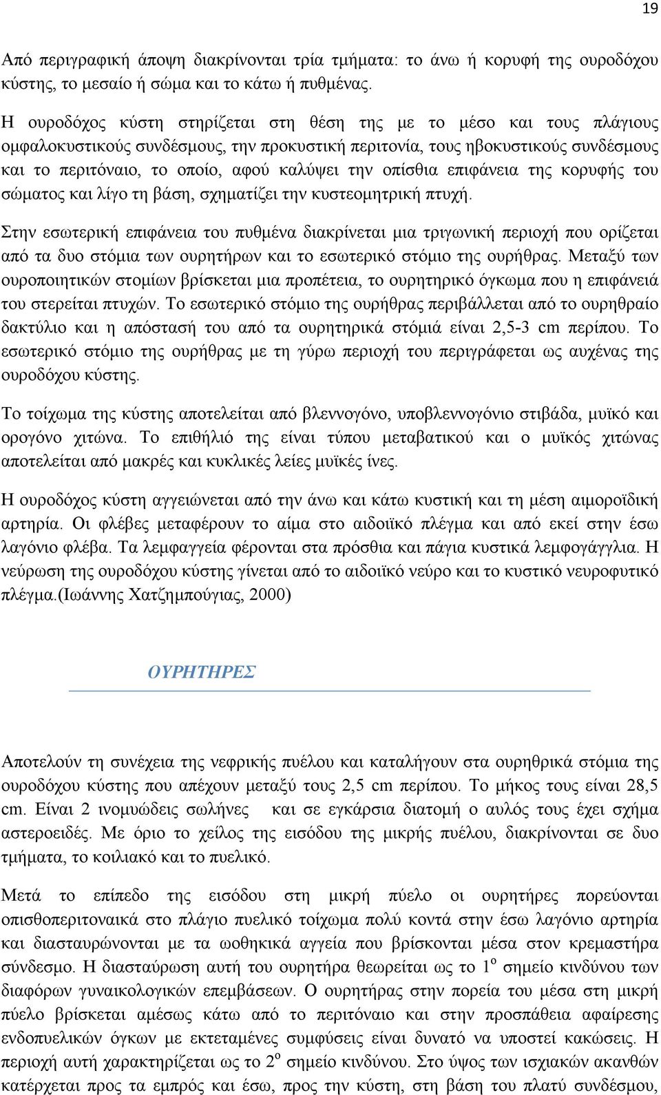 οπίσθια επιφάνεια της κορυφής του σώματος και λίγο τη βάση, σχηματίζει την κυστεομητρική πτυχή.