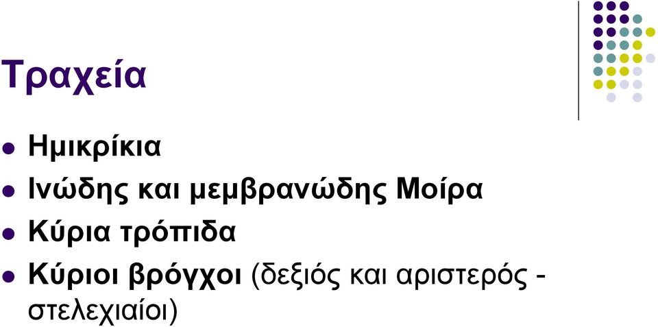 τρόπιδα Κύριοι βρόγχοι